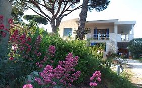 Studios Villa Coeur sur Mer